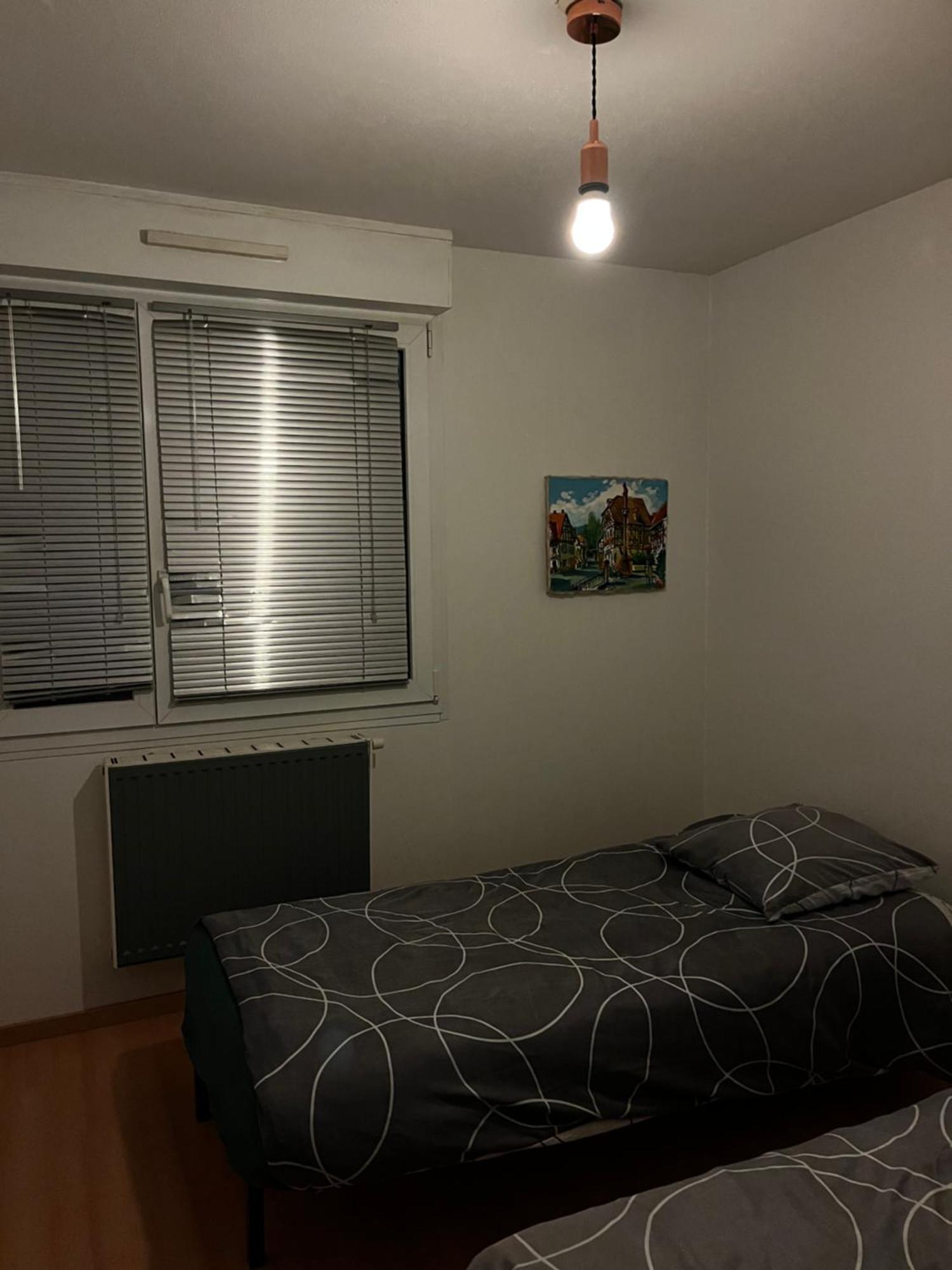Apollon Home Robertsau 斯特拉斯堡 外观 照片